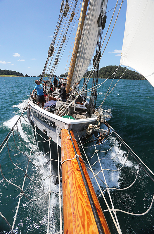 Sail on the R Tucker Thompson, Bay of Islands, NZ